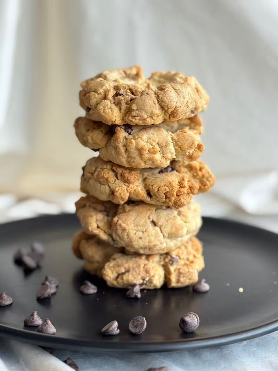Chocolate Chip Cookie